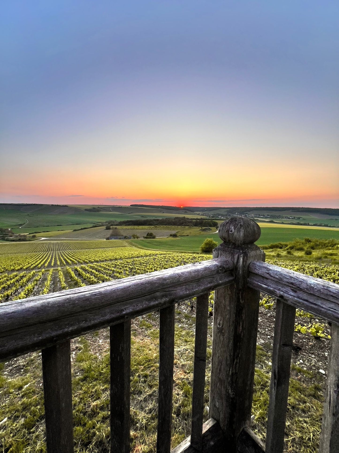 Champagne Edouard Duval - "Table & Terroir" - Hotel Package 1