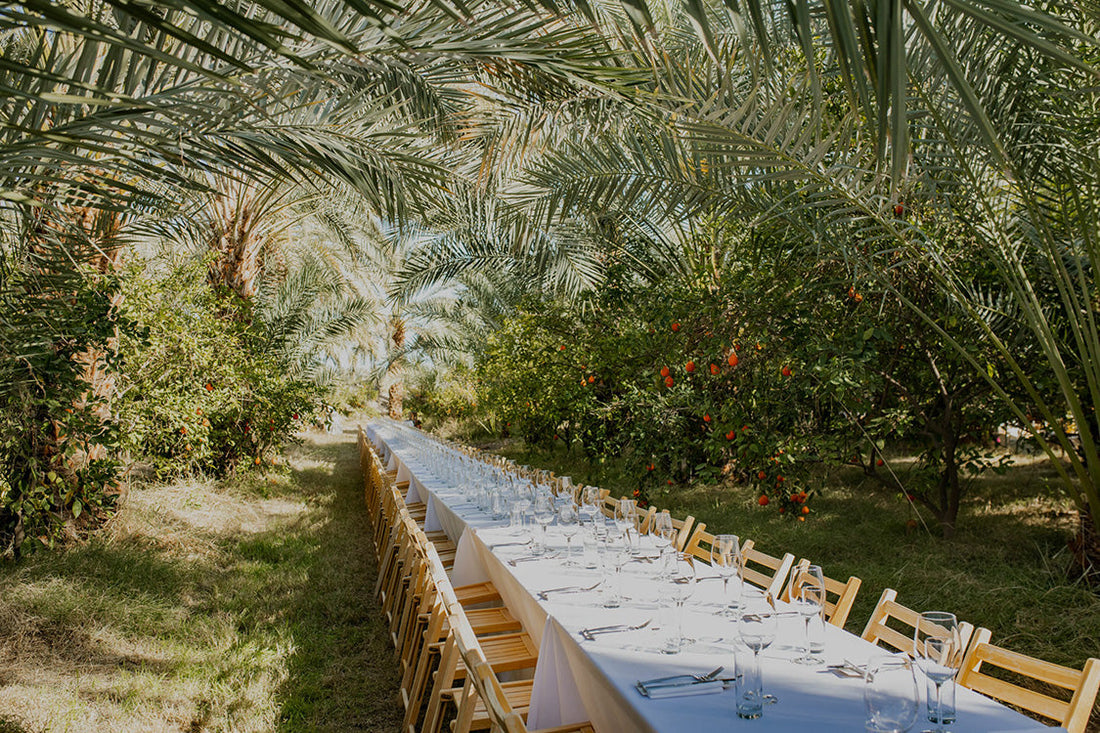 Why Long-Table Dining on Farmland Is Becoming One of the Most Sought-After Culinary Experiences