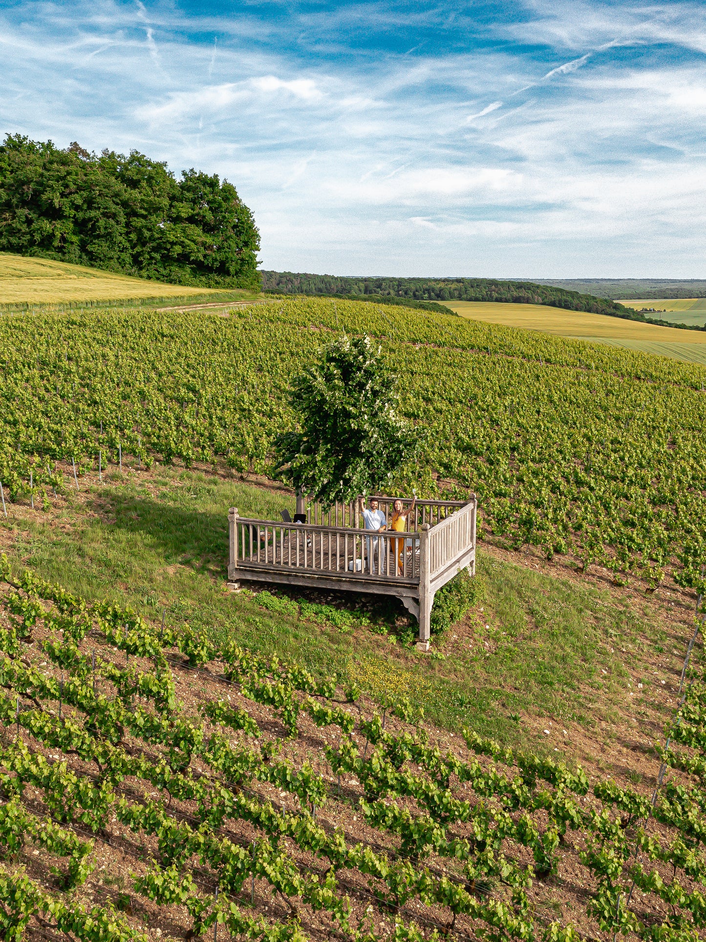 Champagne Edouard Duval - "Table & Terroir"