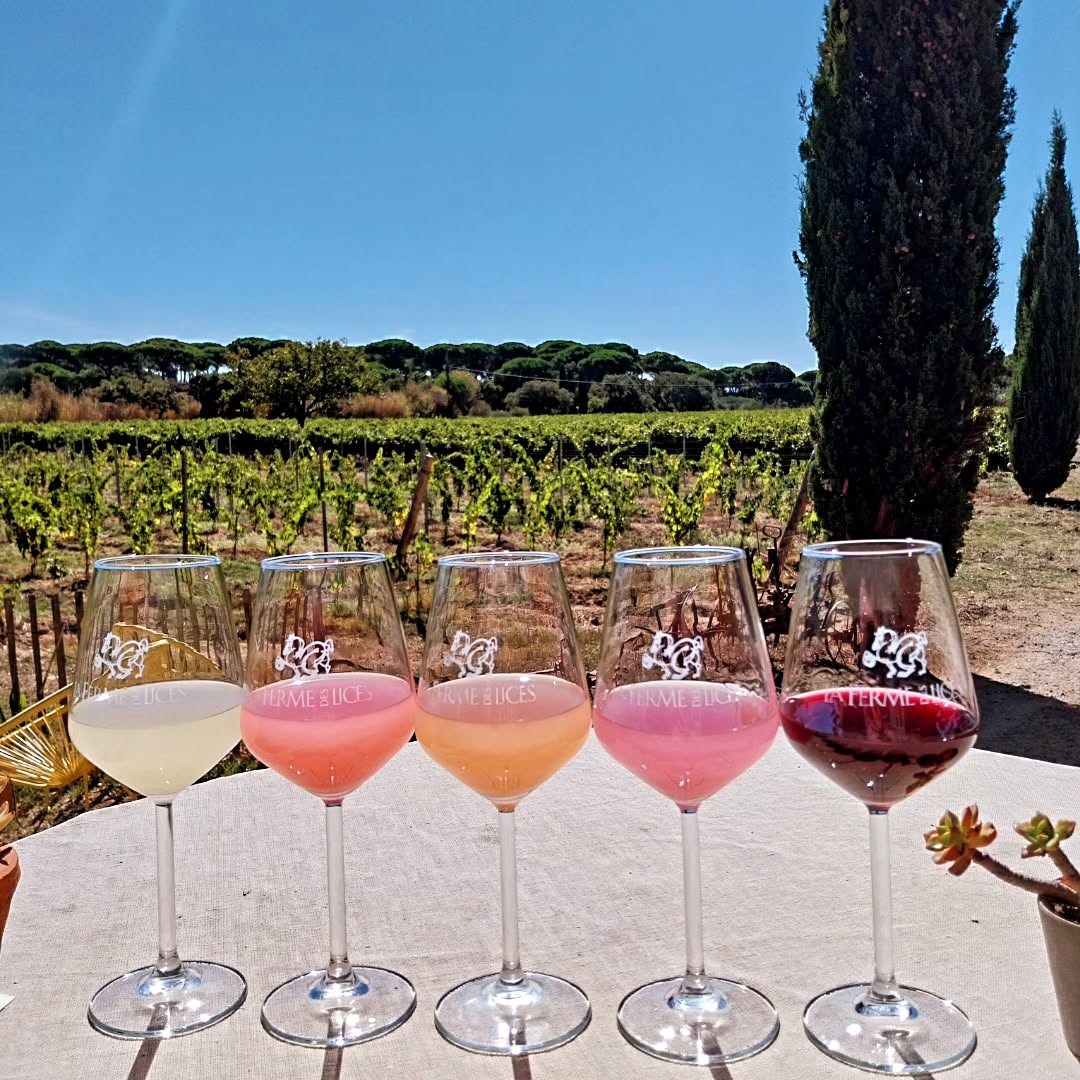 Saint-Tropez - "Table & Terroir"