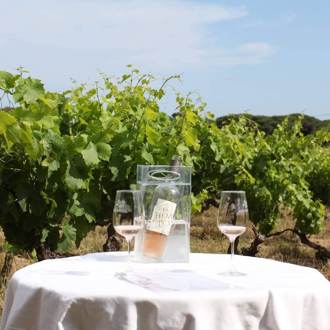 Saint-Tropez - "Table & Terroir"