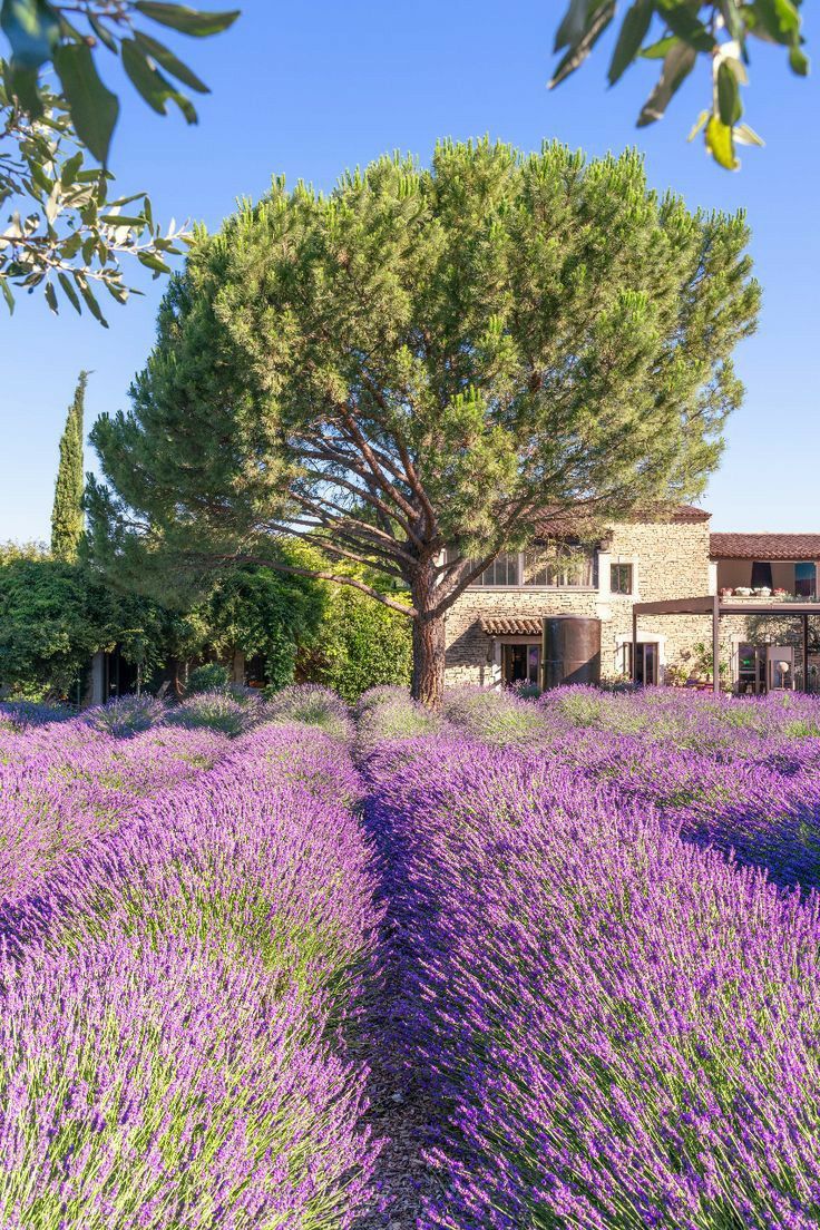 The Provence Retreat