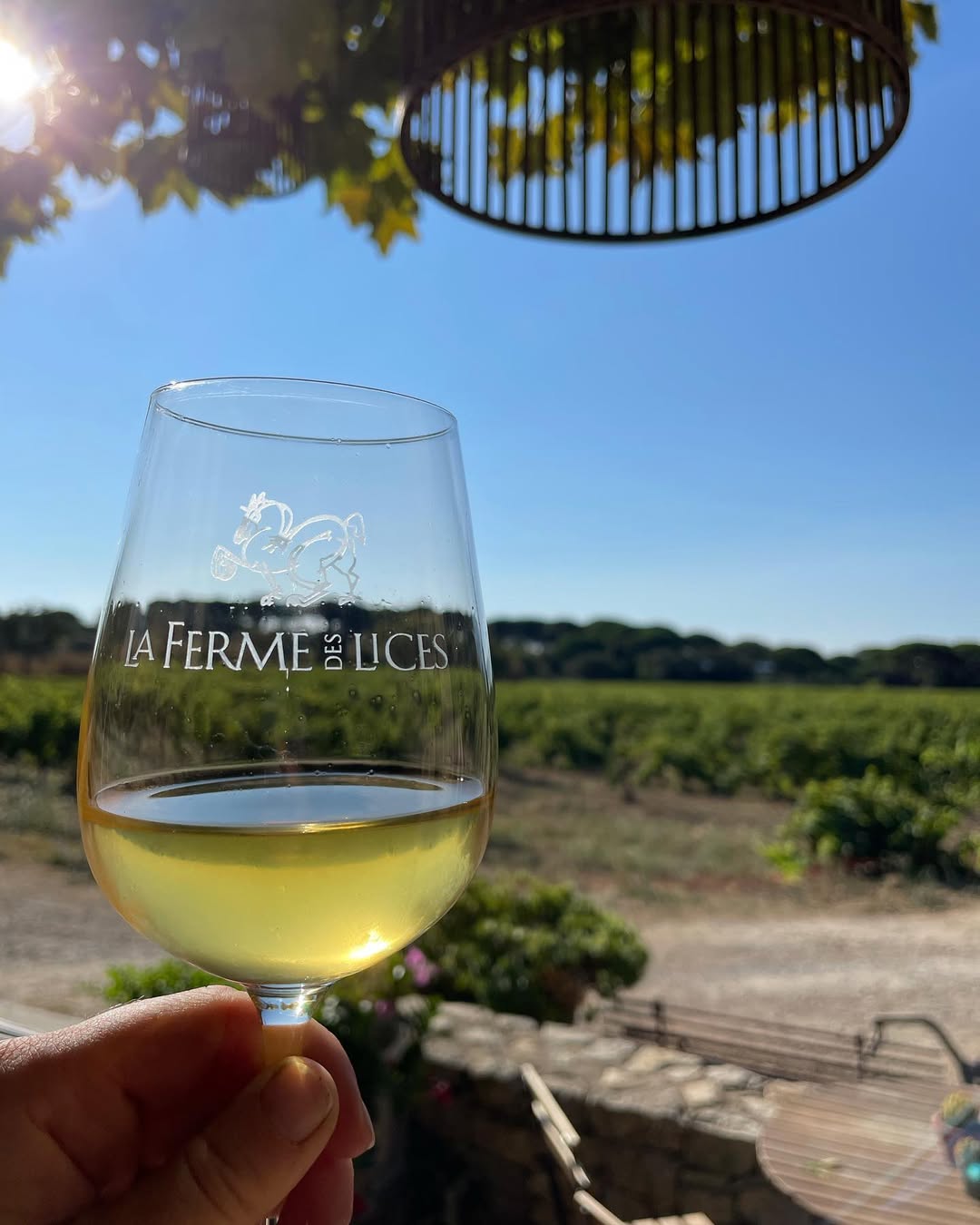 Saint-Tropez - "Table & Terroir"