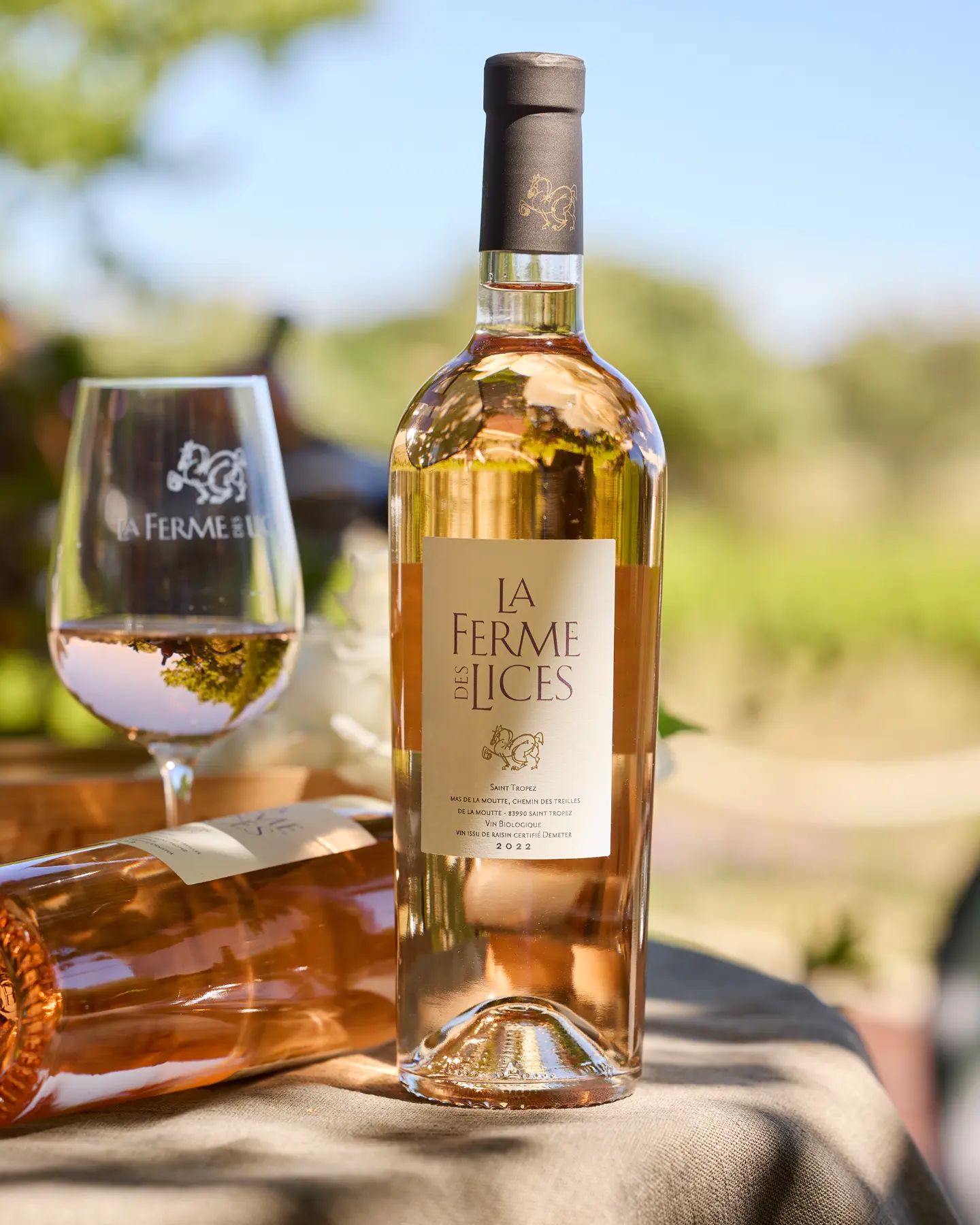 Saint-Tropez - "Table & Terroir"