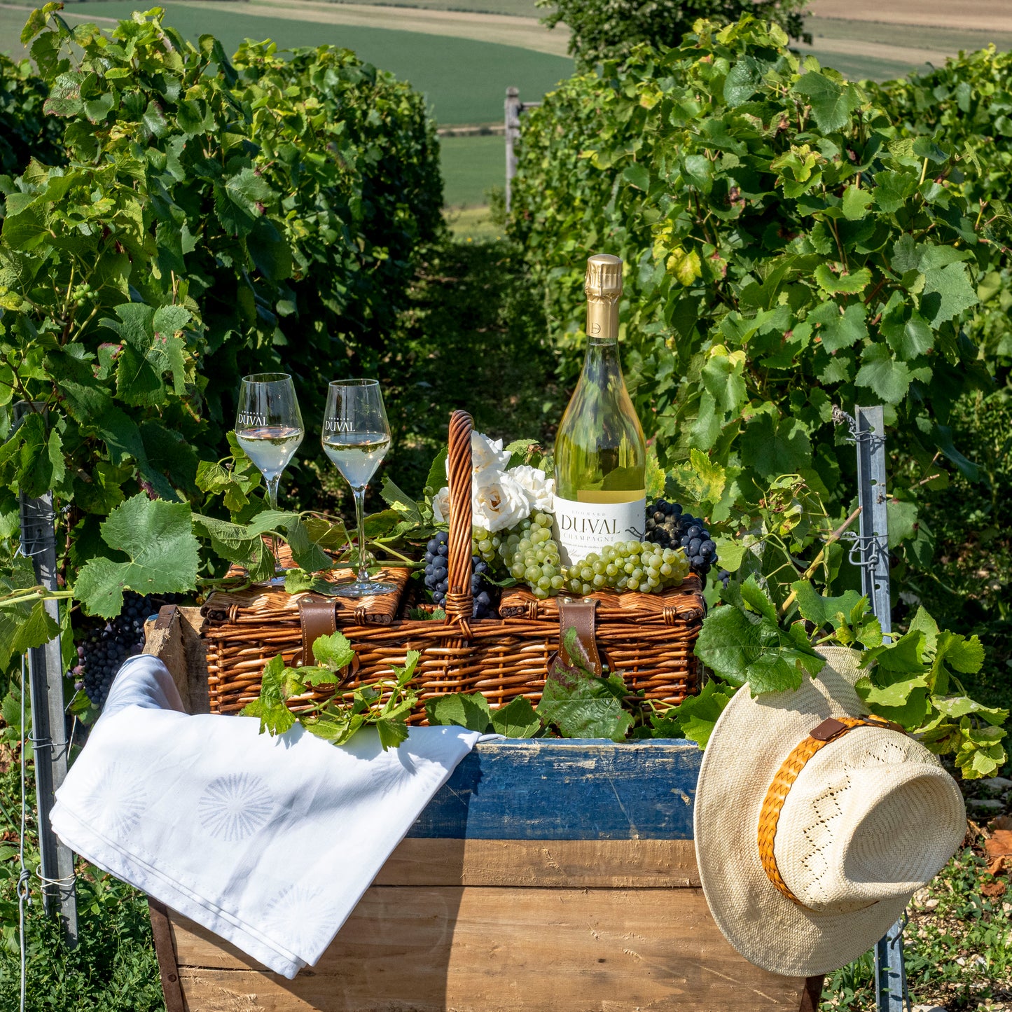 Champagne Edouard Duval - "Table & Terroir"