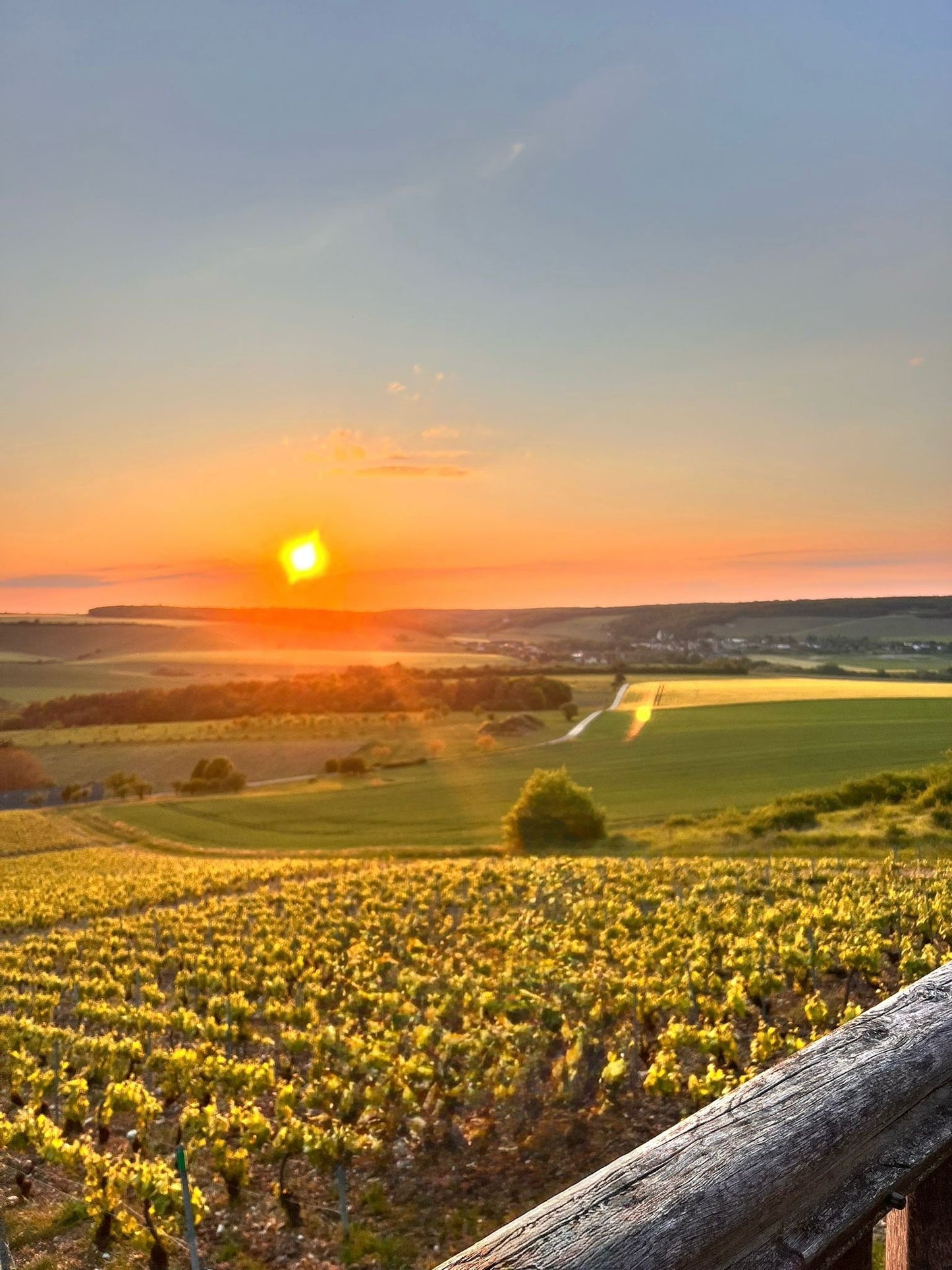 Champagne Edouard Duval - "Table & Terroir"